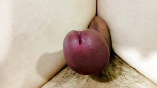 Masturbating and Edging my tiny cock until my orgasm is ruined