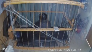 The Cage Cam may 8 2018 1534 Life in the Cage for Slave Andrew